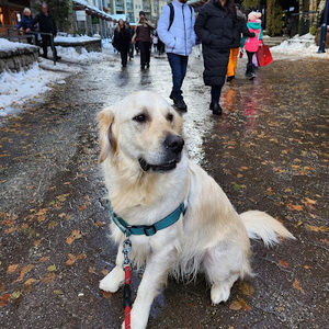 Meet your Posher, Jin ah